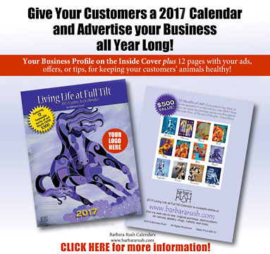 2017 Horse Calendar